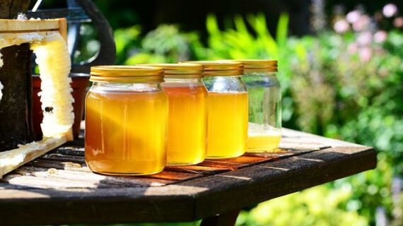 Sudah bukan rahasia bagaimana madu memberikan manfaat yang sangat baik untuk tubuh.