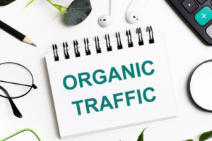Manfaat Serta Apa Itu Organic Traffic SEO Sebenarnya?
