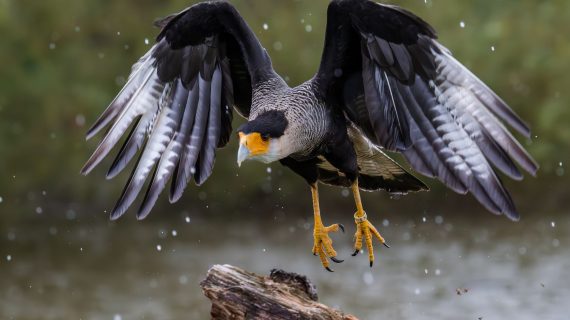 Panduan Praktis Cara Menaikkan Omset Usaha Makanan Kecil dalam 5 Langkah
